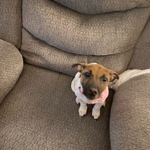 Meet your Posher, Lyn